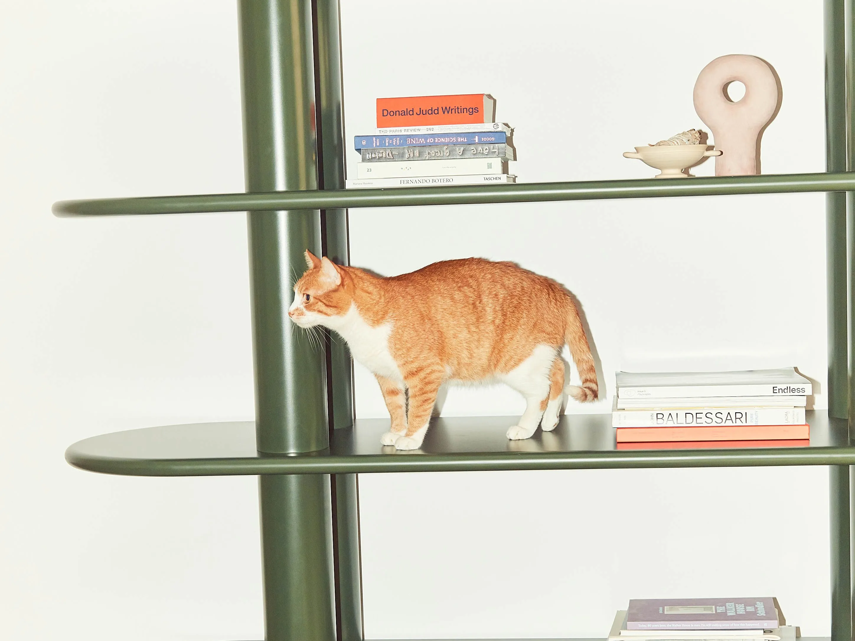 طراحی صحنه برای برنامه‌های گفتگو محور